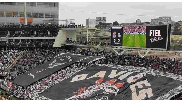 SAFiel: entenda o projeto bilionário que pode transformar o Corinthians em 2025 SAFiel entenda o projeto bilionário