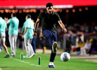 Abel Ferreira é punido com 8 jogos de suspensão no Brasileirão após expulsões Abel Ferreira é punido com 8 jogos de suspensão