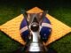 CBF propõe agenda para criação de liga única no Brasileirão CBF propõe agenda para criação de liga