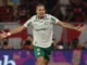 Palmeiras goleia o Flamengo no Maracanã, aproveita expulsão e encerra tabu de nove anos no Brasileirão Palmeiras goleia o Flamengo no Maracanã, aproveita expulsão e encerra tabu