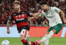 STJD denuncia jogadores e clubes após confusão em Flamengo x Palmeiras pelo Brasileirão STJD denuncia jogadores e clubes após confusão em Flamengo x Palmeiras
