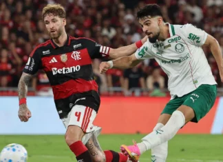 STJD denuncia jogadores e clubes após confusão em Flamengo x Palmeiras pelo Brasileirão STJD denuncia jogadores e clubes após confusão em Flamengo x Palmeiras