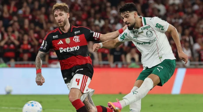STJD denuncia jogadores e clubes após confusão em Flamengo x Palmeiras pelo Brasileirão STJD denuncia jogadores e clubes após confusão em Flamengo x Palmeiras