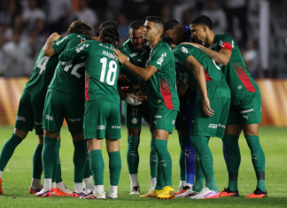 Palmeiras elimina Santos, volta à semifinal da Copa do Brasil após seis anos e enfrentará o Vasco